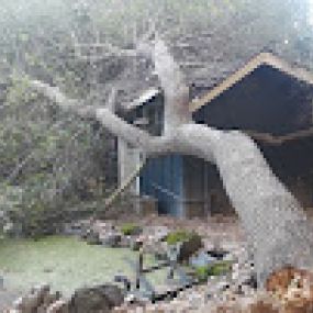 Bild von Chris Keller's Tree Service