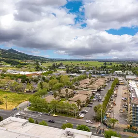 Aerial View at The Meadows