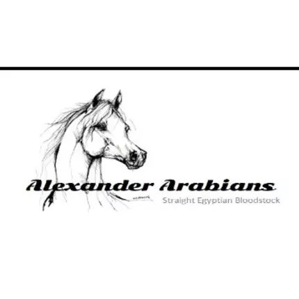 Logótipo de Alexander Arabians