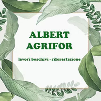 Logotipo de Albert Agrifor