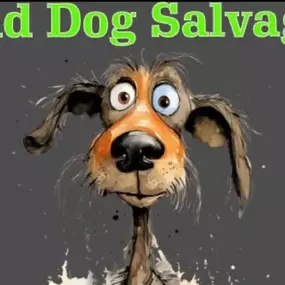 Bild von Old Dog Salvage