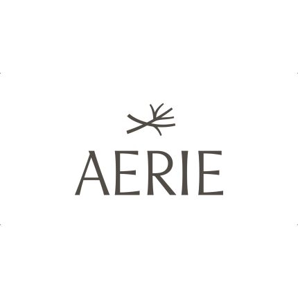 Logotyp från Aerie Blue Sage