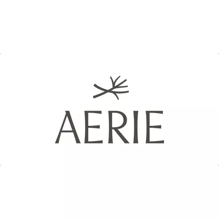 Λογότυπο από Aerie Blue Sage