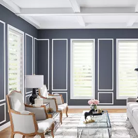 Our Sheer Shades can do so much for your living spaces! Use them to filter the light—and enjoy the fabulous striped look that goes with so many decor styles!