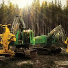 Bild von TIMBERTECH Tree Co. TREE SERVICES