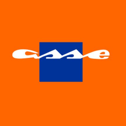 Logo von asse Kanal Tiefbau GmbH & Co. KG