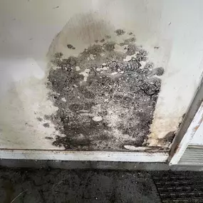 mold removal atlanta