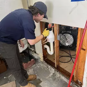 mold removal atlanta