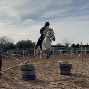 Escuela_Equitacion_Boremai_la_zubia_granada_portada.jpeg