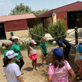 Escuela_Equitacion_Boremai_la_zubia_granada_10.jpeg