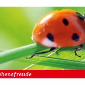 Bild von Pflegedienst Glückskäfer - Ambulante Pflegedienste Zwickau - häusliche & mobile Pflegedienste Zwickau - Isabel Raithel