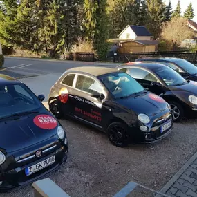 Bild von Pflegedienst Glückskäfer - Ambulante Pflegedienste Zwickau - häusliche & mobile Pflegedienste Zwickau - Isabel Raithel