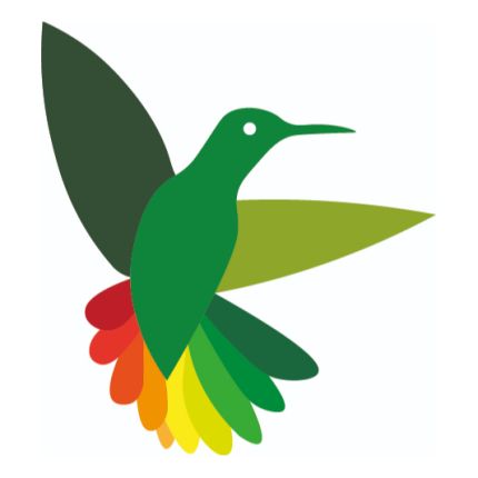 Logotyp från kolibri-digitaldruck