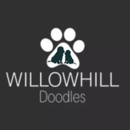 Logo da Willow Hill Doodles