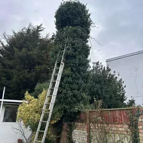 Bild von P&M Handyman Services