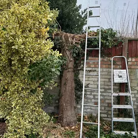 Bild von P&M Handyman Services