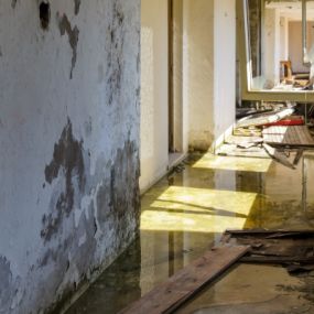 Our skilled team can offer prompt flood damage repair services.