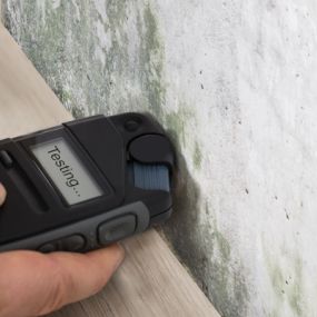 If you need to learn more about the mold situation at your property, we can offer mold testing.