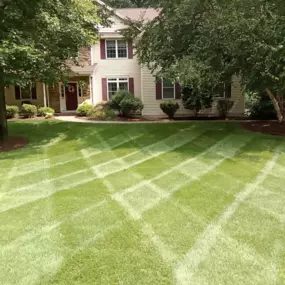 At Groundhogs Lawn Care, we're known for our attention to detail, top-notch customer service, and our expertise in healthy lawn maintenance. We won't just maintain your yard, we'll make it a perfectly beautiful landscape every time!