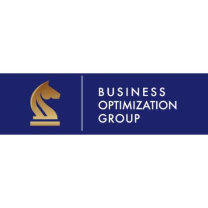 Logo da Business Optimization Group