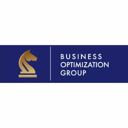 Logo from Business Optimization Group