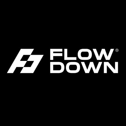 Logotyp från FLOW DOWN