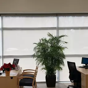 Family Ford of Enfield contacted Budget Blinds of Enfield to install Solar Shades in their establishment to block out the sun's glare but still maintain a view to the outdoors. The Solar Shades were the perfect option for this commercial space! #BudgetBlindsEnfield #SolarShades #CommercialShades #Sh