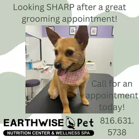 Bild von EarthWise Pet Supply & Grooming Kansas City