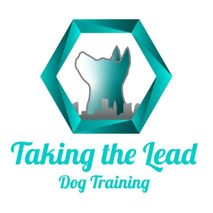 Logo de Taking the Lead