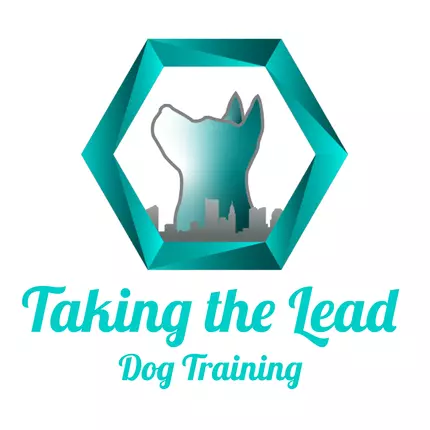 Logo da Taking the Lead