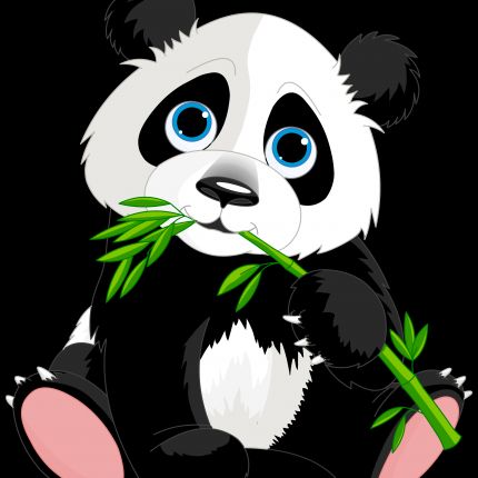 Logotyp från Panda-Hosting.de