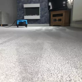 Vulcan Hygiene Ltd - Carpet & Oven Cleaning: a front room carpet deep cleaned in hartlepool