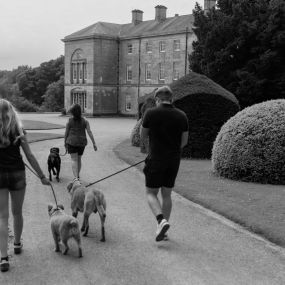 Visitors enjoying a peaceful walk with their dogs through the beautiful gardens of Sledmere House, a perfect destination for dog lovers and families.