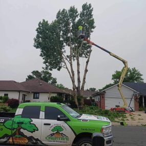 Bild von Tree Service Denver