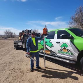 Bild von Tree Service Denver