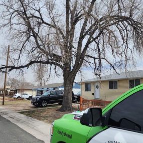 Bild von Tree Service Denver