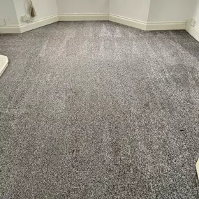 Vulcan Hygiene Ltd - Carpet & Oven Cleaning: dining room carpet cleaned in newcastle