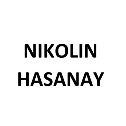 Logo from Nikolin Hasanaj