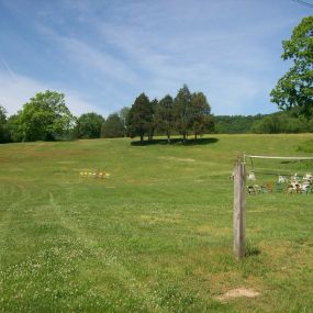 Bild von Glenwood Inn & Conference Center