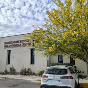 Bild von VCA Civano Animal Hospital and Emergency Center