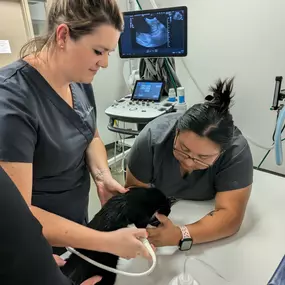 Bild von VCA Civano Animal Hospital and Emergency Center
