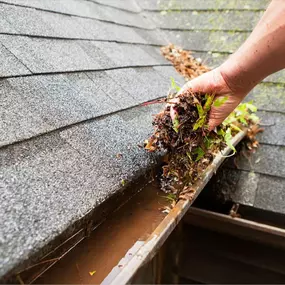 Gutter maintenance