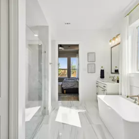 Hazelwood 55' Series Model Owner's Bath