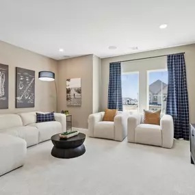 Hazelwood 55' Series Model Media Room