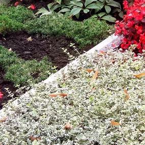 Bild von Abschied Bestattungen