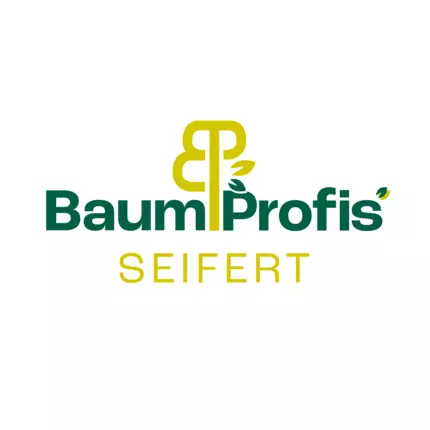 Logotyp från BaumProfis Seifert