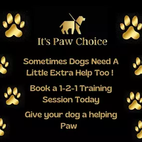 Bild von Its Paw Choice Dog Training