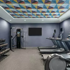 Health club  fitness center  gym