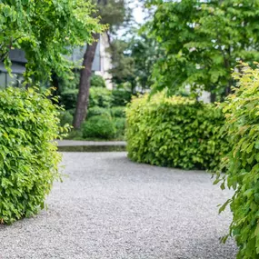 Bild von Kottmann-Kohler Gartenbau AG