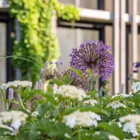 Bild von Kottmann-Kohler Gartenbau AG